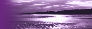 headerfoto